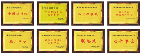 宝贝集结13.jpg