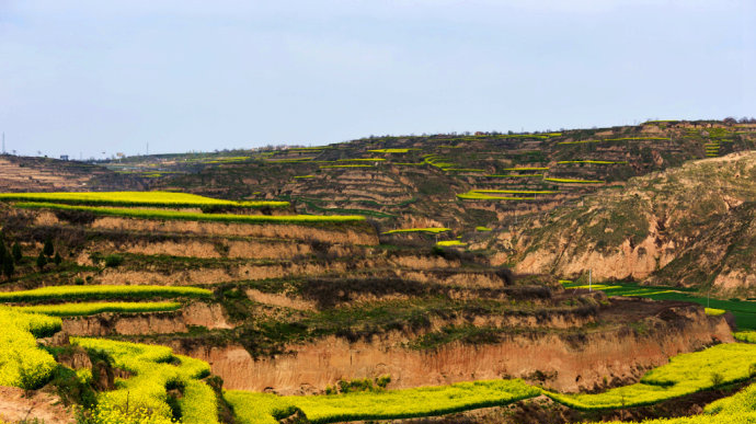 五千年渭北平原,孕育华夏根脉;八百里渭北平原   五千年美食传承